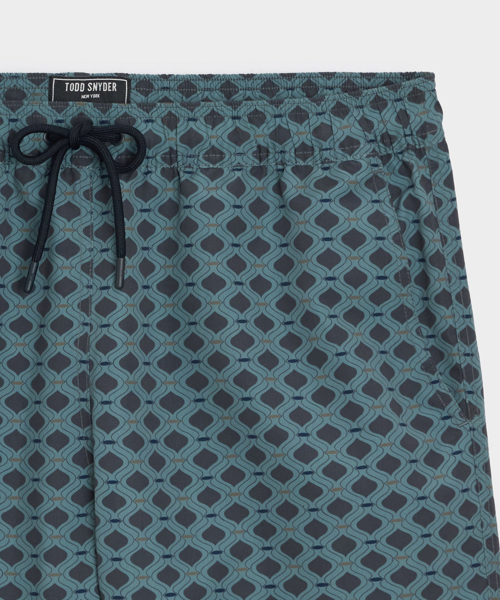 5" Montauk Swim Trunk