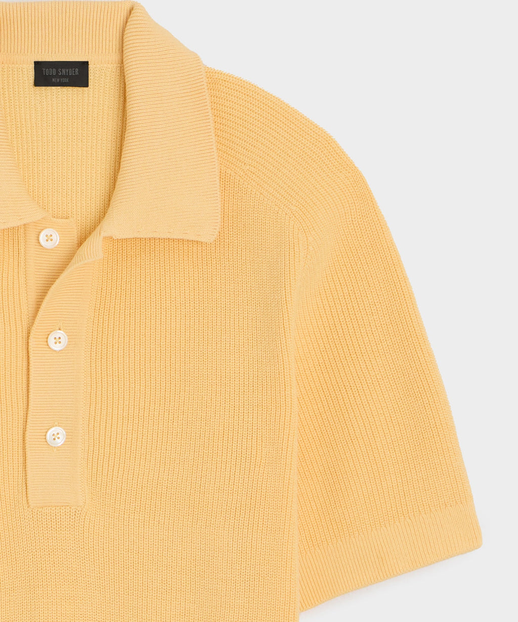 Beechwood Sweater Polo
