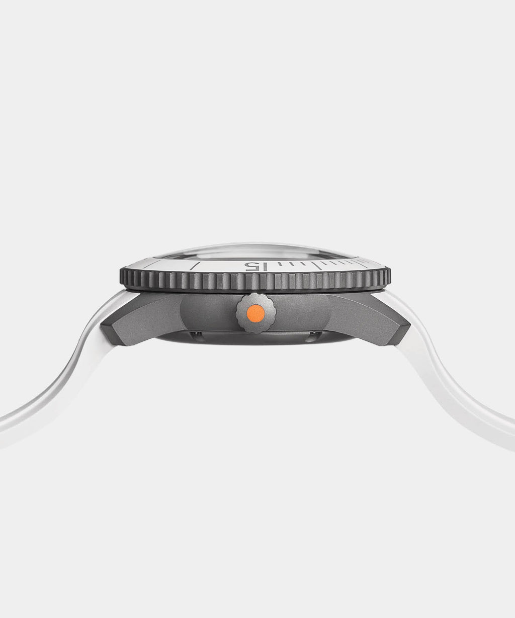Todd Snyder X AERA D-1 Diver Watch