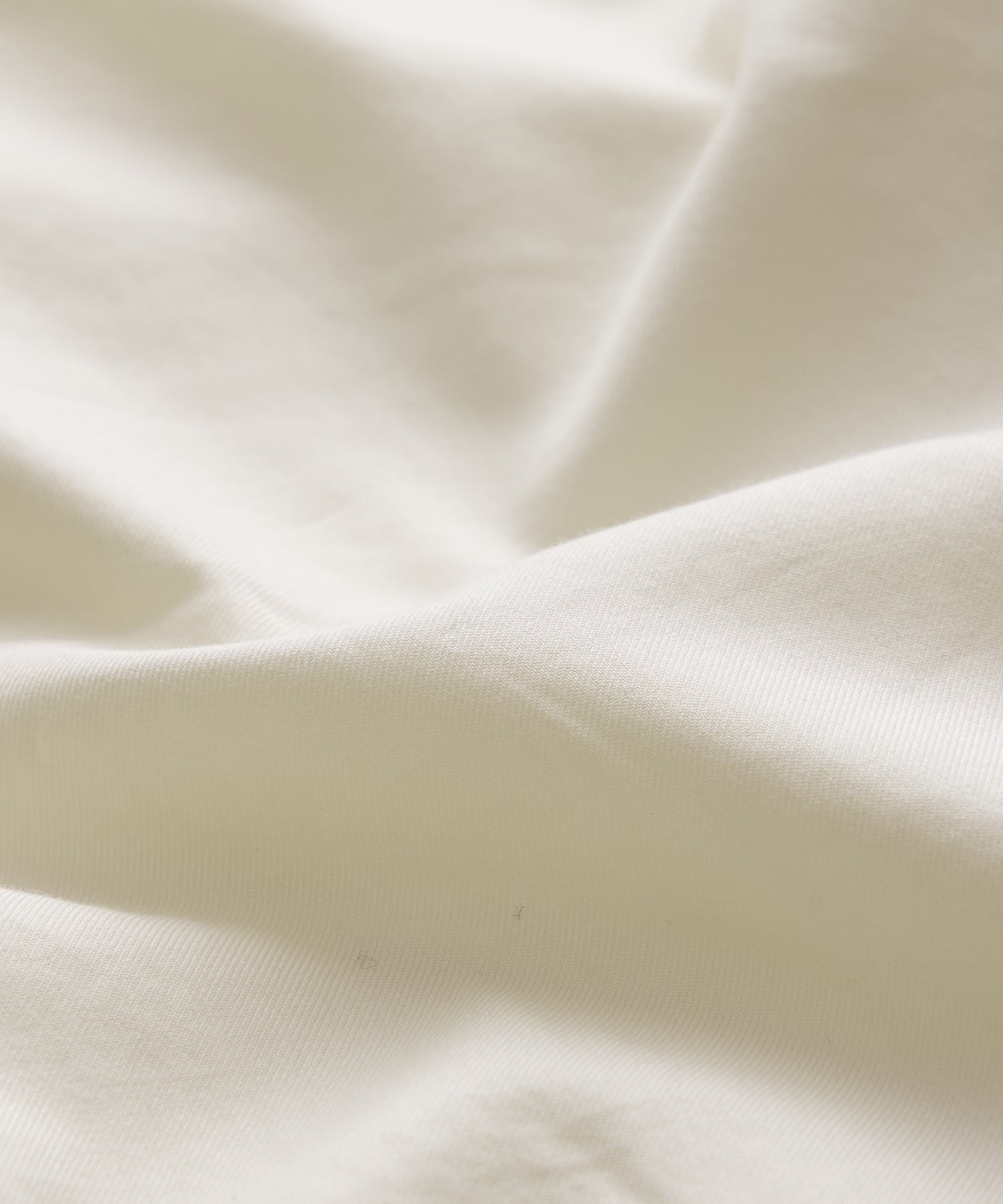 Cotton Twill Long Point Collar Shirt