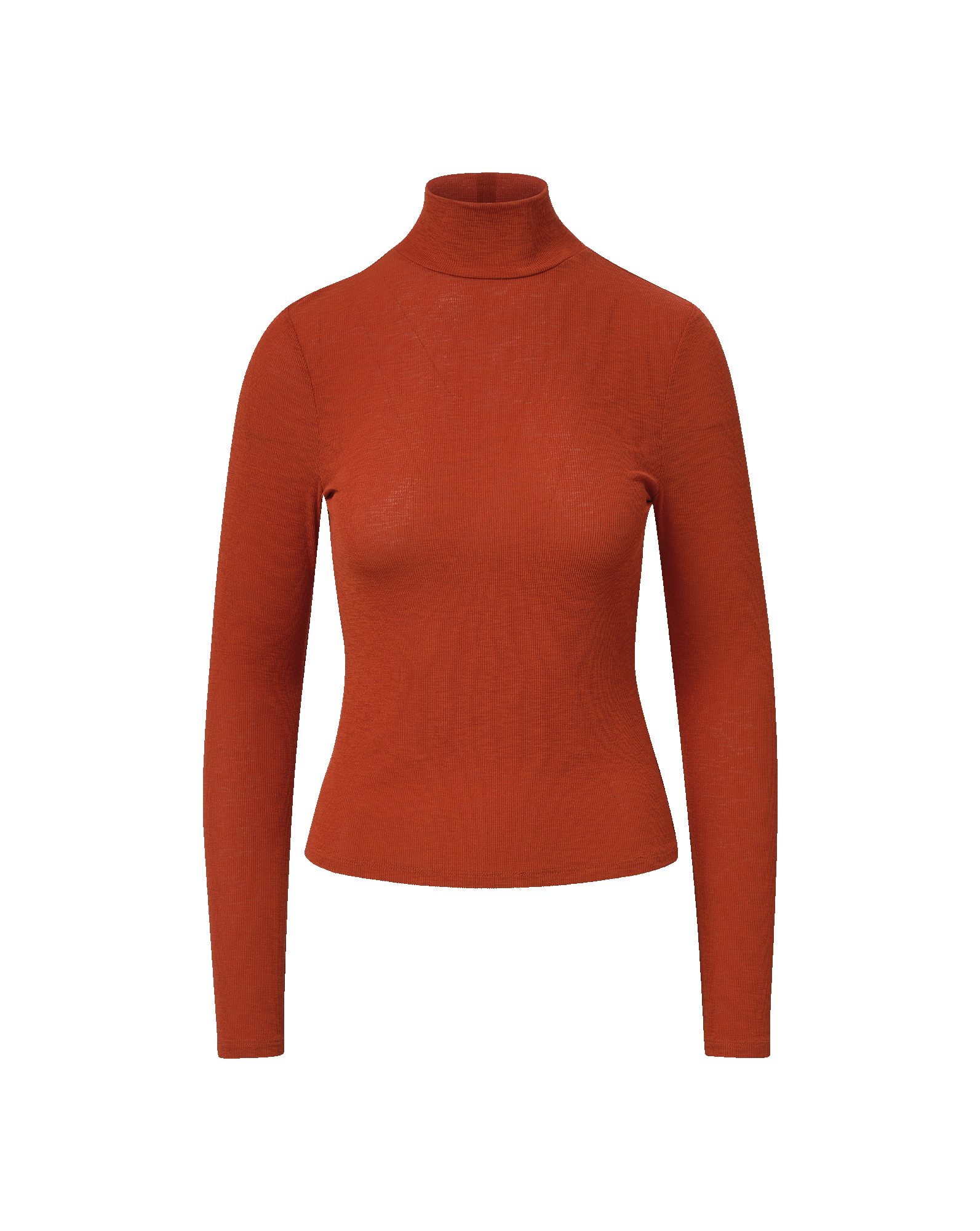 Wyeth Turtleneck Top