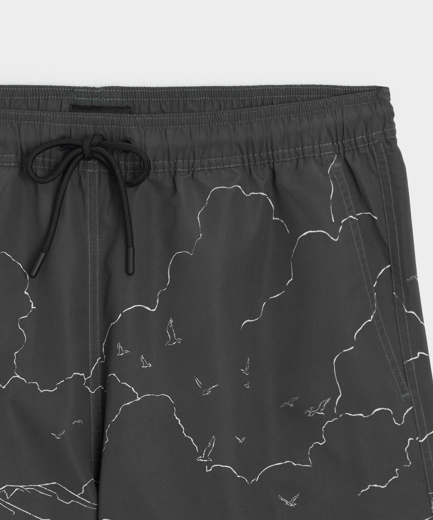5" Montauk Swim Trunk