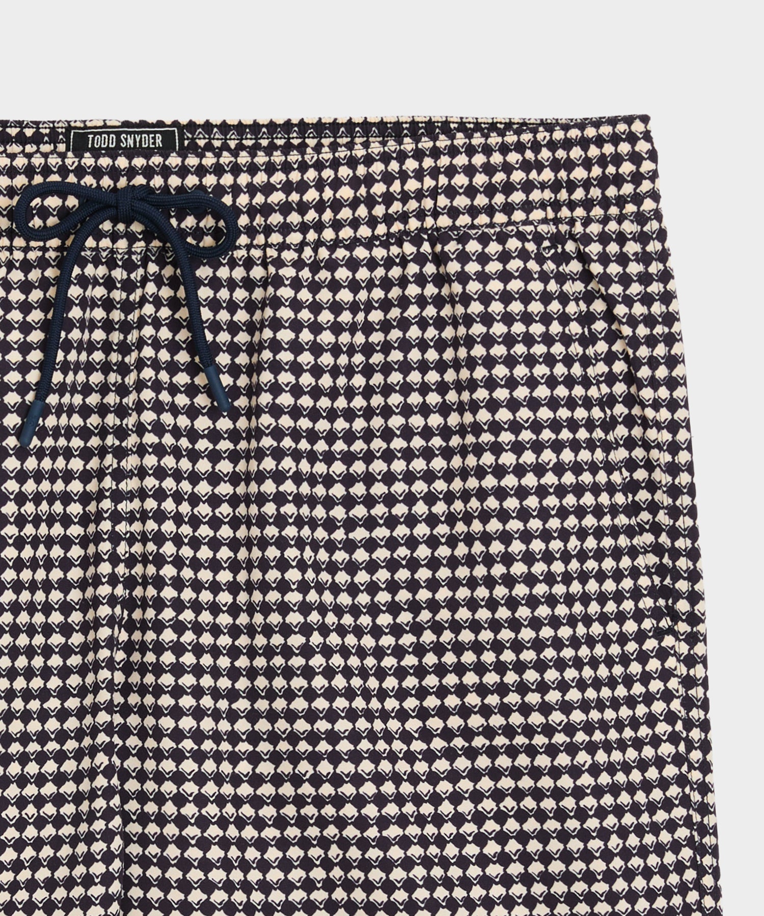 5" Montauk Swim Trunk