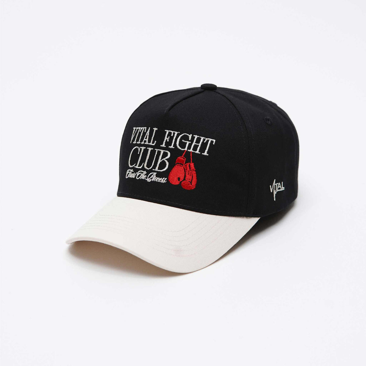 A Frame Snapback Hat - Black/Off-White VFC