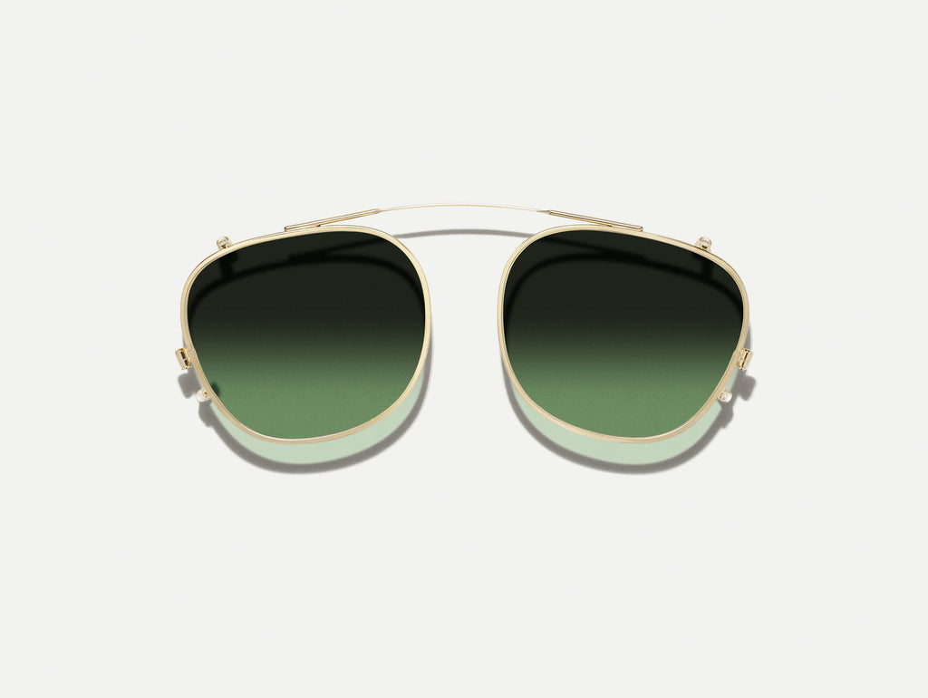 ARTHUR CLIP GOLD WITH CUSTOM MADE TINTS™