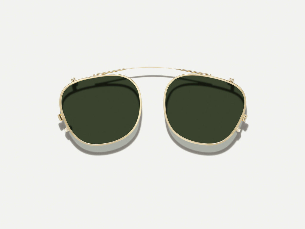 ARTHUR CLIP GOLD WITH CUSTOM MADE TINTS™