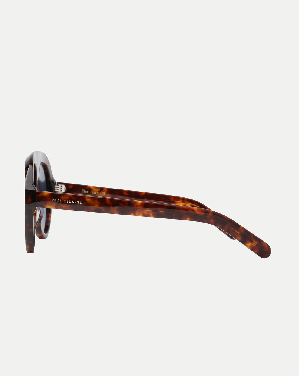 The Icon Aviator Sunglasses