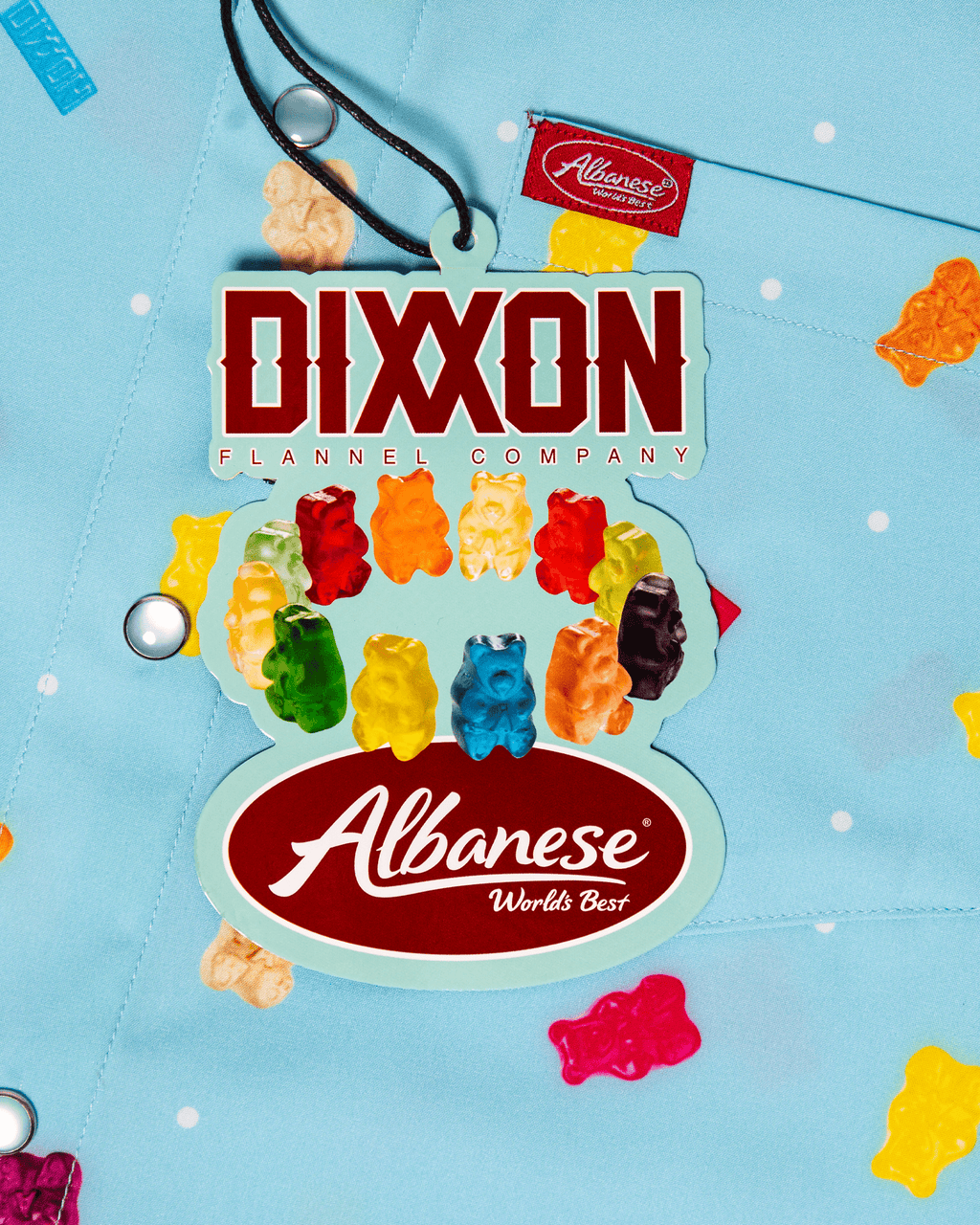 Women's Albanese Party Shirt