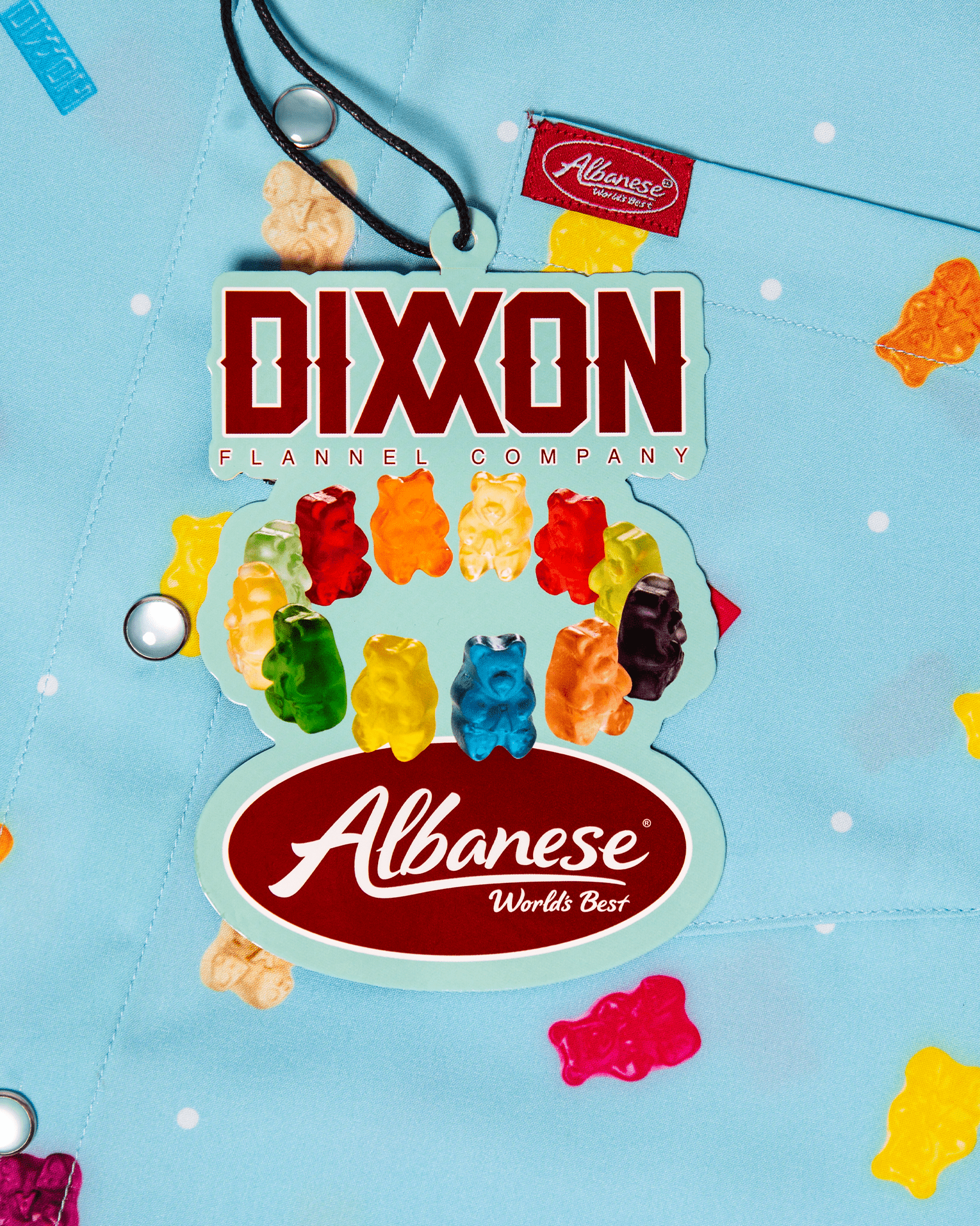 Women's Albanese Party Shirt